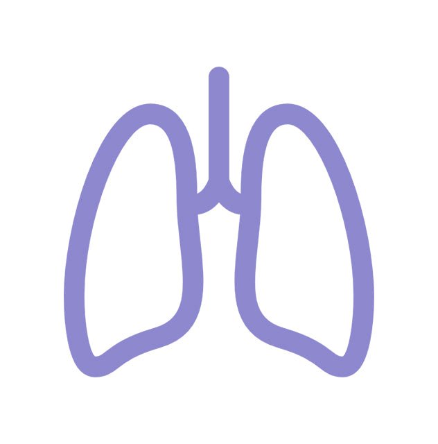 Белия дроб - Herba Divina