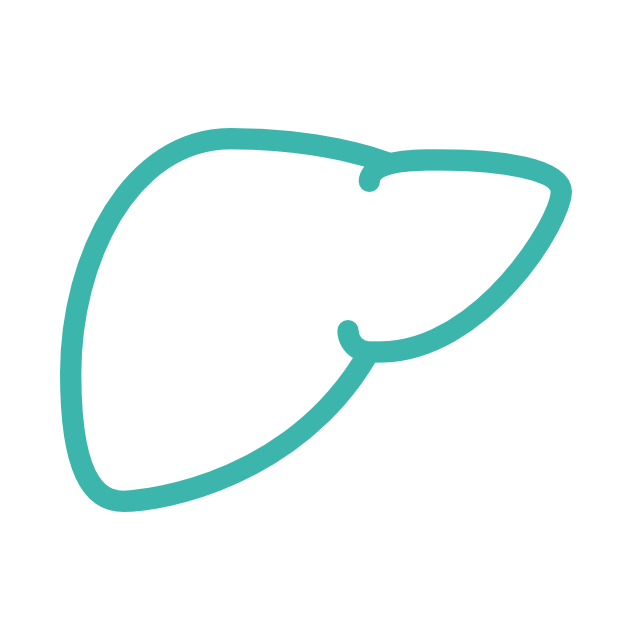 Черен дроб - Herba Divina