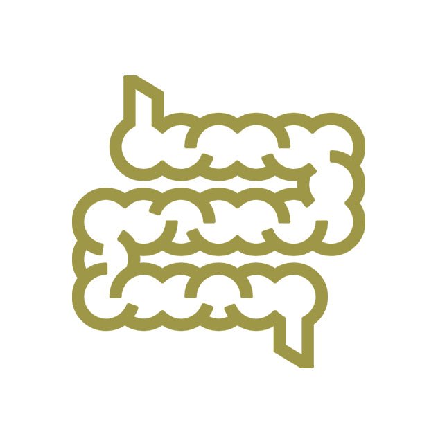 Дебелото черво - Herba Divina