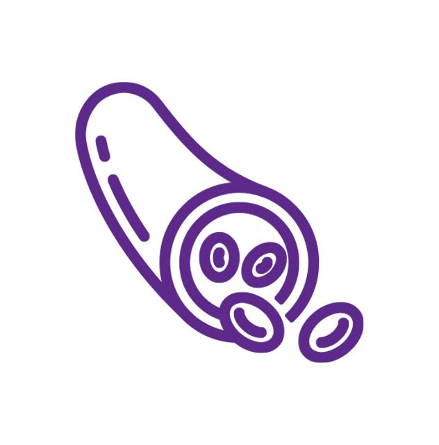 Кръвоносната система - Herba Divina