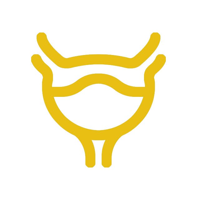 Уринарния тракт - Herba Divina