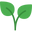 Herba Divina logo